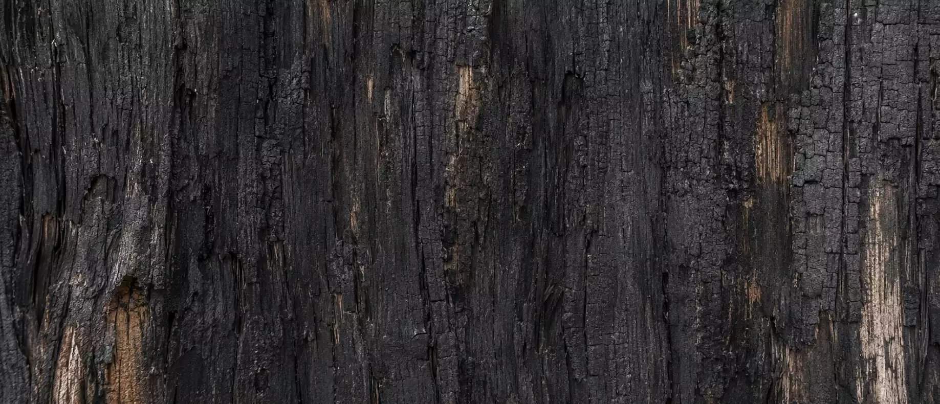 Textura de madeira carbonizada
