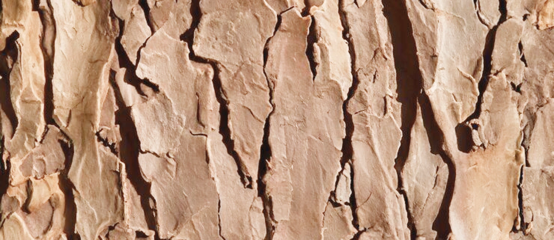 textura-pedra