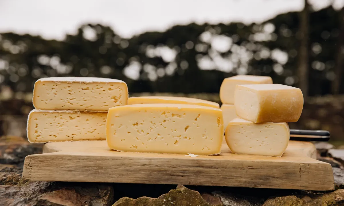 queijo-artesanal-cambara-dosul