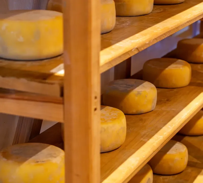 queijo-meia-cura-parador