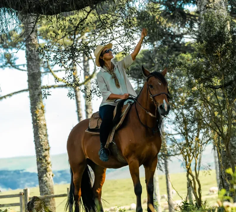 cavalgada-parador