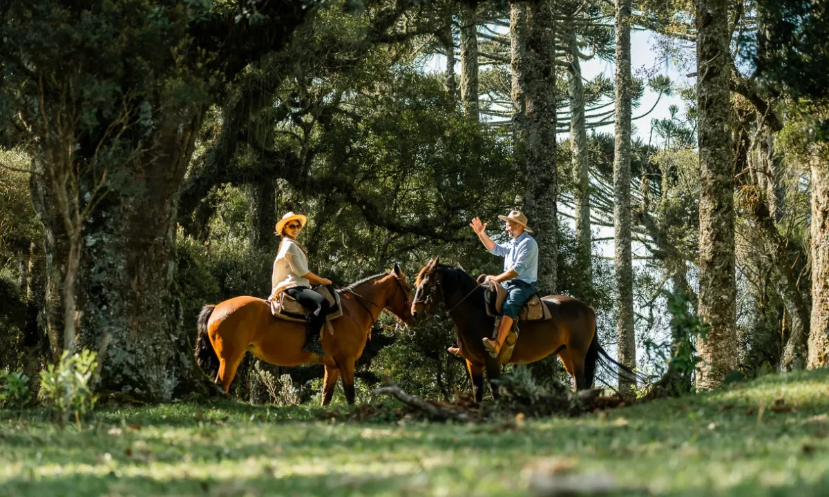 passeio-a-cavalo-cavalgada