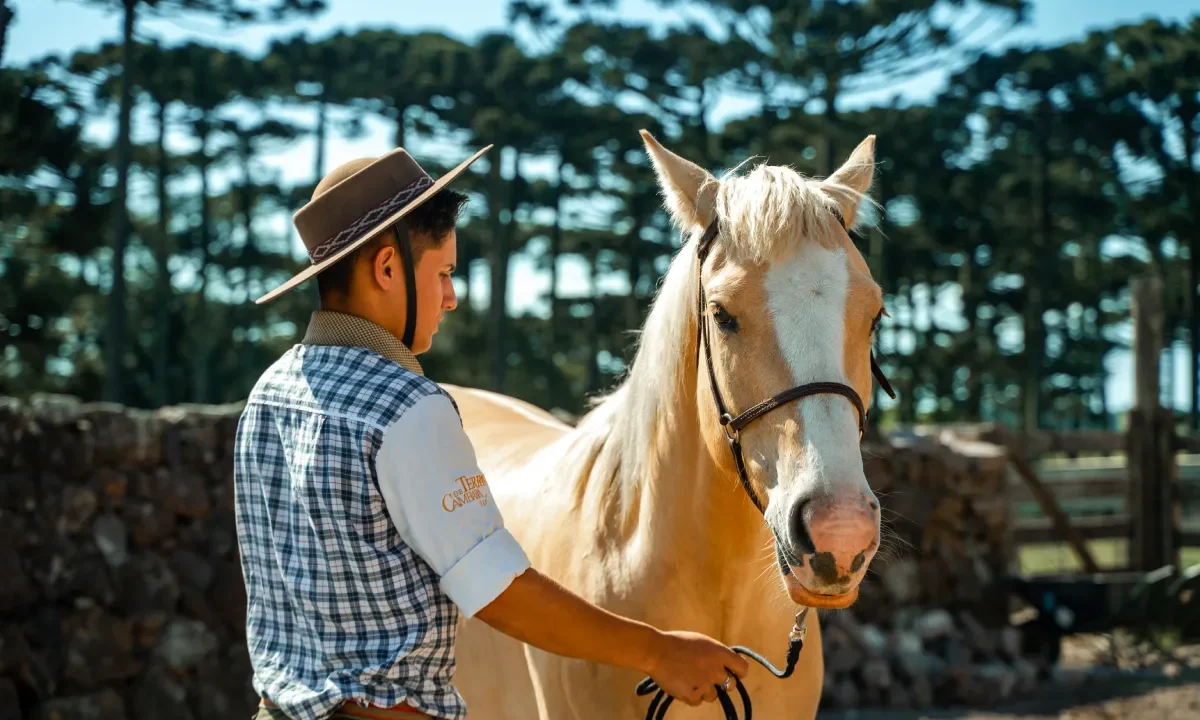 passeio-a-cavalo-no-parador