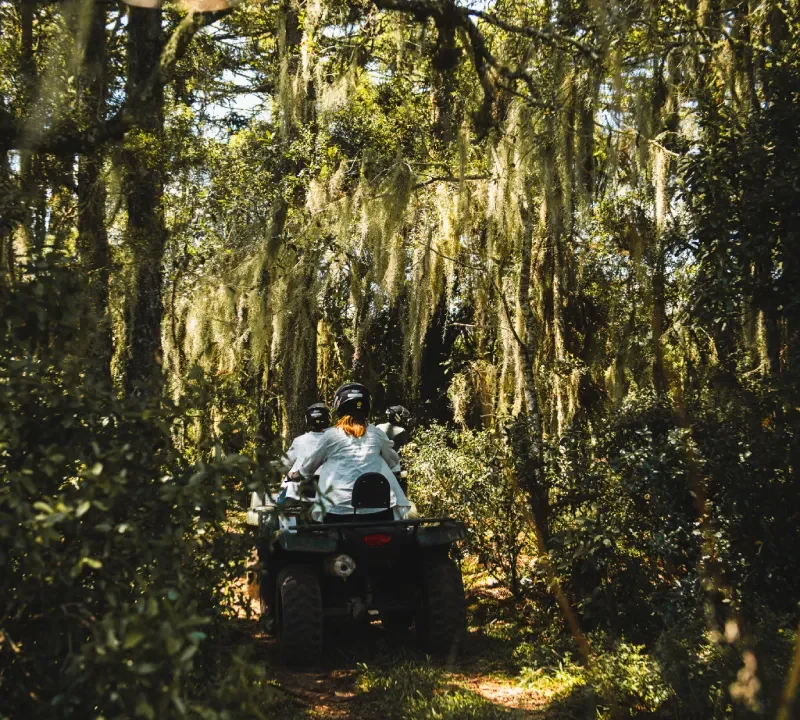 passeio-de-quadriciclo-na-mata