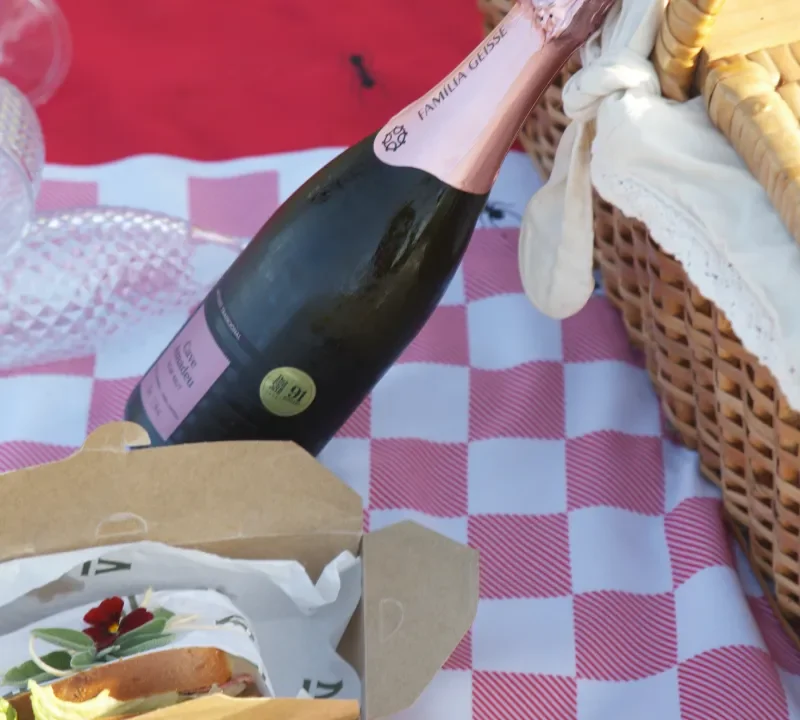 piquenique-com-champagne